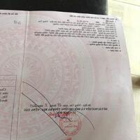 CHÍNH CHỦ CẦN BÁN GẤP LÔ ĐẤT VỊ TRÍ ĐẸP NGAY XÃ TÂN HÒA, THỊ XÃ PHÚ MỸ, BÀ RỊA - VŨNG TÀU