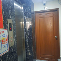 Chdv Hẻm Xe Hơi Khuông Việt, 5.5X15M, 3 Lầu 12P Có Thang Máy. Cho Thuê: 40 Triệu/ Tháng. Giá: 10.5Tỷ Tl