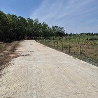 Bán Đất Ấp An Quý Gần Chợ Thanh An, Huyện Hớn Quản, Tỉnh Bình Phước