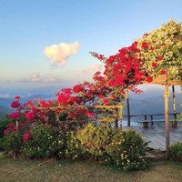Siêu Phẩm Tái Định Cư View Sông Thuỷ Tú, Xã Vĩnh Thái. Ngang 10M . Giá Bán 6 Tỷ .