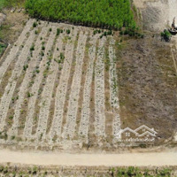 Đất Vườn Tại Xã Diên Xuân Diện Tích Hơn 500M2, Chỉ Từ 350 Triệu
