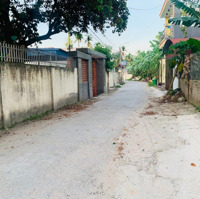 Bán Lô Đất Quỳnh Hoàng, Nam Sơn, An Dương 66M Giá Chỉ Hơn 1,3X Tỷ Liên Hệ: 0979087664
