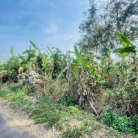 Bán Đất Gần Sân Bay Qt Long Thành Tại Xã Cẩm Đường, Long Thành, Đồng Nai, Giá Tốt.