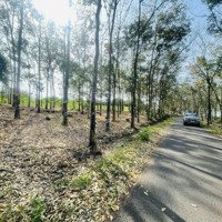 Bán Đất Gần Sân Bay Qt Long Thành Tại Xã Cẩm Đường, Long Thành, Đồng Nai, Giá Tốt.