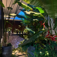 Siêu Phẩm Biệt Thự Ngay Sông Hàn Với Thiết Kế Độc Bản Duy Nhất - Villa Với Rất Nhiều Công Năng