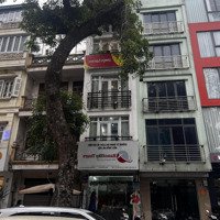 Bán Nhà Mặt Phố Hàng Nón,Diện Tích44M2,Mặt Tiền3,2M, Xây 4 Tầng, Giá Bán 32 Tỷ
