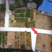 Siêu Hiếm Lô Đất Duy Nhất Tại Tuy Lai Giá Chỉ Nhỉnh 700 Triệu Oto Vào Đất