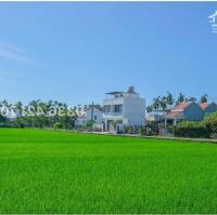 Dễ dàng tận hưởng không gian view lúa trong lành ven TP Hội An/195m2