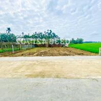 Dễ dàng tận hưởng không gian view lúa trong lành ven TP Hội An/195m2