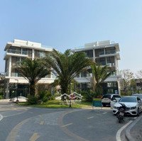 Bán Căn Góc Shophouse Chân Đế 2 Tầng Sổ Đỏ Riêng Biệt - Tòa Sol Forest 1, Kđt Ecopark