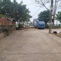 Bán Đất Xã Tráng Việt, Mê Linh, Hà Nội, Full Thổ Cư, Diện Tích 73M2