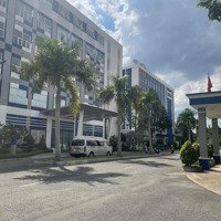 Cần Cho Thuê Gấp Cặp Đôi Hoàn Hảo - Mặt Tiền Đường Hoàng Quốc Việt, Phường Phú Mỹ, Quận 7.