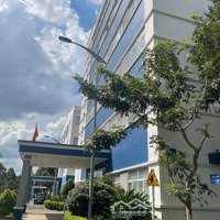 Cần Cho Thuê Gấp Cặp Đôi Hoàn Hảo - Mặt Tiền Đường Hoàng Quốc Việt, Phường Phú Mỹ, Quận 7.