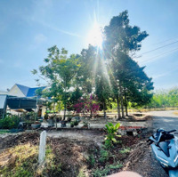Bán Đất Nền Tại Bình Dương Giá Rẻ