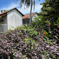 Đất Nền Dương Tơ Phú Quốc Sổ Sẵn Đã Có Thổ Cư Hẻm Thông Đường Bê Tông