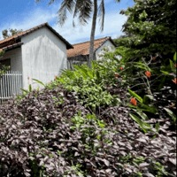 Đất nền Dương Tơ Phú Quốc sổ sẵn đã có thổ cư hẻm thông đường bê tông