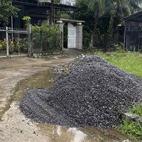 Đất Xã Thôn Đảnh Thạnh, Xã Bình Lộc Giá Thu Hồi Vốn 700 Triệu, Diện Tích: 90M2
