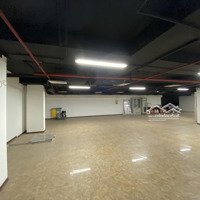 Cho Thuê Mặt Bằng Văn Phòng, Kinh Doanh, Phòng Gym 200 M2 Gần Somerset Tây Hồ