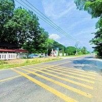 Đất Biển Bình Thuận - Sổ Đỏ Chính Chủ - Cơ Hội Đầu Tư Sinh Lời Bền Vững