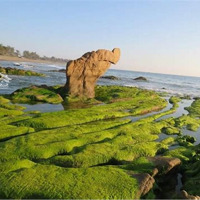 Đất Biển Bình Thuận - Sổ Đỏ Chính Chủ - Cơ Hội Đầu Tư Sinh Lời Bền Vững