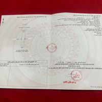 Bán Dãy Trọ 7 Phòng Đang Thu Nhập 15 Triệu/Tháng Ngay Trục Đường Lớn, Chợ, Khu Công Nghiệp