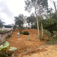 Chính Chủ Cần Bán Gấp! Chỉ Vài Triệu/M2