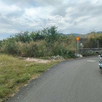 Ngộp Bán Lô Tt Long Hải Đường Nhựa