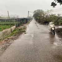 Bán 800M Đất, Lô Góc 50M Mt, Tại Tây Tựu Cơ Hội Đầu Tư Không Thể Bỏ Lỡ