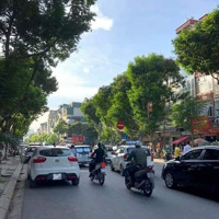 Mặt Phố Trần Quốc Hoàn 4 Tầng, Mặt Tiền 4M, Sổ Vuông,Vỉa Hè Đá Bóng,Chỉ 12 Tỷ,Gần Đại Học Quốc Gia