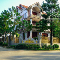 Tổng Hợp Quỹ Ngoại Giao The Phoenix Garden - Giá Tốt Nhất Thị Trường - Đón Sóng Đan Phượng 2025