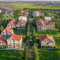 Tổng Hợp Quỹ Ngoại Giao The Phoenix Garden - Giá Tốt Nhất Thị Trường - Đón Sóng Đan Phượng 2025