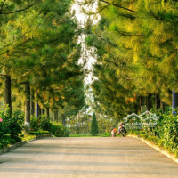 Tổng Hợp Quỹ Ngoại Giao The Phoenix Garden - Giá Tốt Nhất Thị Trường - Đón Sóng Đan Phượng 2025