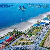Bán Đất Nền Dự Án Tại Khu Đô Thị Phương Đông, 30 Triệu / M2, 87.5M2, Vân Đồn, Quảng Ninh