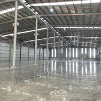 Cho Thuê Kho Xưởng Mới Xây Tại Kcn Kiến Thành, Cần Đước , Long An, Pccc Tự Động