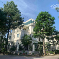 Chính Chủ Gửi Bán Lô Biệt Thự 400 M2 2 Mặt Tiền Tại The Phoenix Garden Đan Phượng