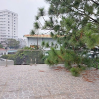 Định Cư Nước Ngoài Chính Chủ Cần Bán Biệt Thự Vườn Thành Phố Thủ Đức 0909146064