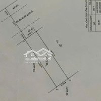 Bán Lô Đất 79M2 Mặt Trục Đường Tuyến 2 Trang Quan, An Đồng Đường 12M Giá Bán 3,28 Tỷ