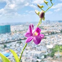 Bán Căn Hộ 2 Phòng Ngủ 2 Vệ Sinhtại The Pegasuite 1, 68M2, Tây Bắc Tầng Cao View Đẹp Giá Bán 3Ty650