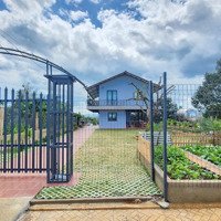 Bán Nhà Vườn Đẹp Tại Xã Đam Bri, Bảo Lộc, Lâm Đồng, 1,95 Tỷ, 400M2