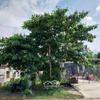 Bán Đất Full Thổ Cư, Mặt Tiền Đường Cầu Đình, Q.9