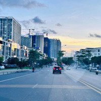 Tổng Hợp Quỹ Căn Chuyển Nhượng Khu Đô Thị Ven Sông Lạch Tray - Waterfront City