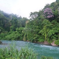 Chính Chủ Bán Đất View Sông Sài Gòn Nghỉ Dưỡng Đẳng Cấp Sổ Hồng Riêng (10X40) Giá Chỉ 480 Triệu