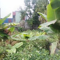 Bán Lô Đất Tại Phạm Hải, Đa Phúc, Dương Kinh