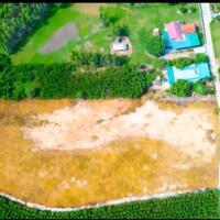 Bán đất lên sẳn thổ Ninh Tân - Ninh Hoà giá quá rẻ Lh: 0868750144 Lê Dân