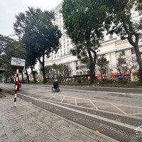 Cực Phẩm Mặt Phố Giảng Võ, Đống Đa - Vỉa Hè Siêu Rộng - Kinh Doanh Đỉnh -Diện Tích45M2X3Tầng Giá Bán 16.2Tỷ