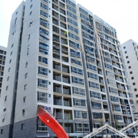Cho Thuê Cc Scenic Valley 1, 60 Triệu/Th, 151M2, 3 Phòng Ngủ 2 Vệ Sinh Đẹp, Nhiều Tiện Ích