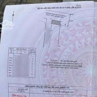 Bán Lô Góc Đường Củ Chi Siêu Đẹp- Giá Bán 15 Tỷ