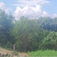 Bán 2058.75M2 (300M Ont) Bến Cừ, Ninh Điền, H. Châu Thành, Tỉnh Tây Ninh