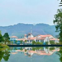 Cđt Bim Group Ra Mắt Biệt Thự Thanh Xuân Valley Giá Chỉ Từ 14 Tỷ Đồng