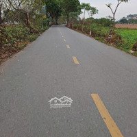 Yên Thường: Bán Đất Tặng Nhà Cấp 4, Đường 2 Làn, Xe Tải Đổ Cửa, 42M2